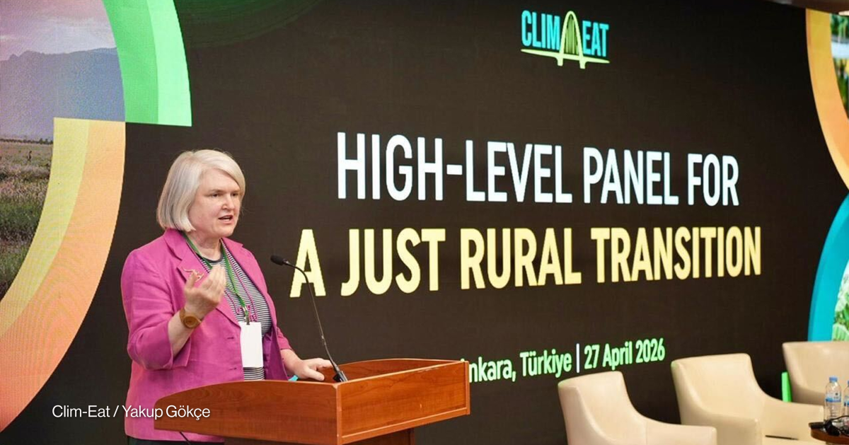 Sonja Vermeulen at the launch of the High-Level Panel for a Just Rural Transition.
 