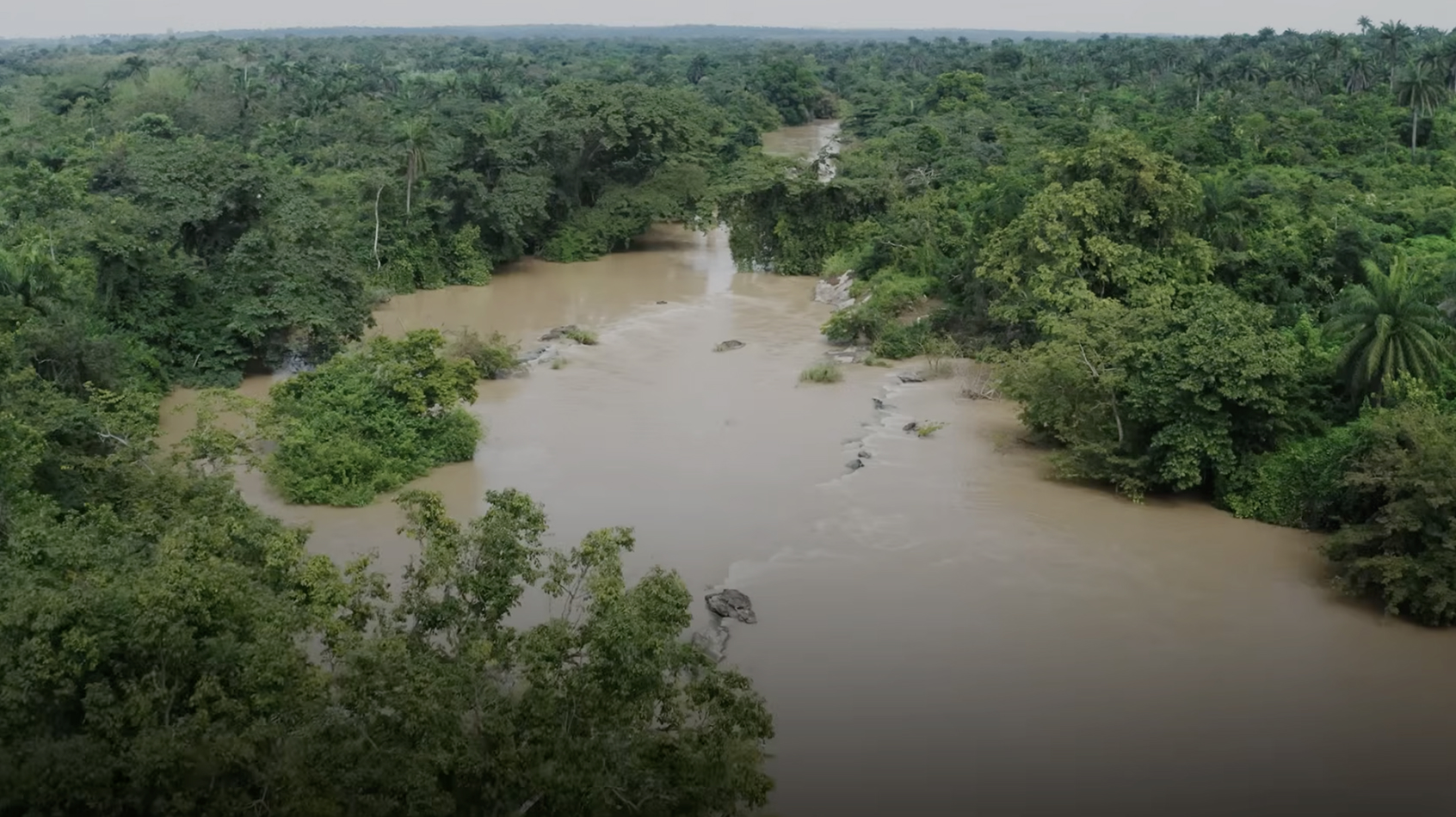 Modern tools, enduring fight