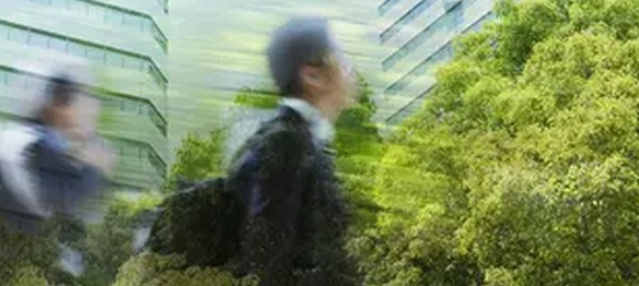 Blended Finance: scaling capital for sustainable impact