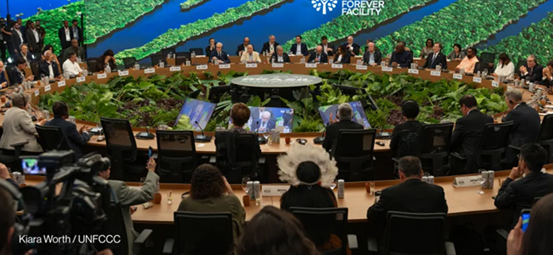 The untold origins of COP30’s flagship multibillion-dollar forest facility