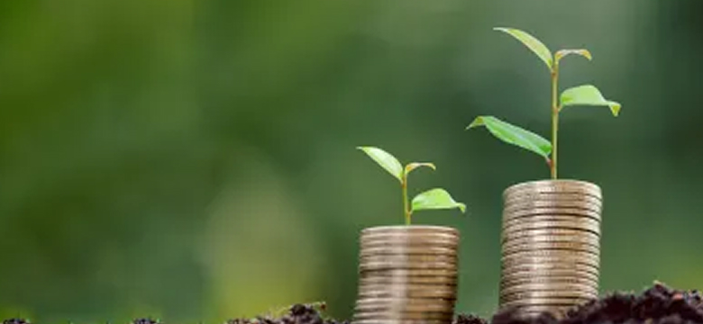 The boom, bust, and bounce back of ESG