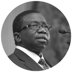 Prof. Isaac F. Adewole